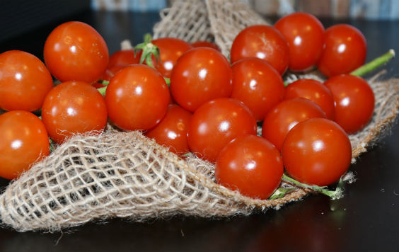 tomaten netz 564
