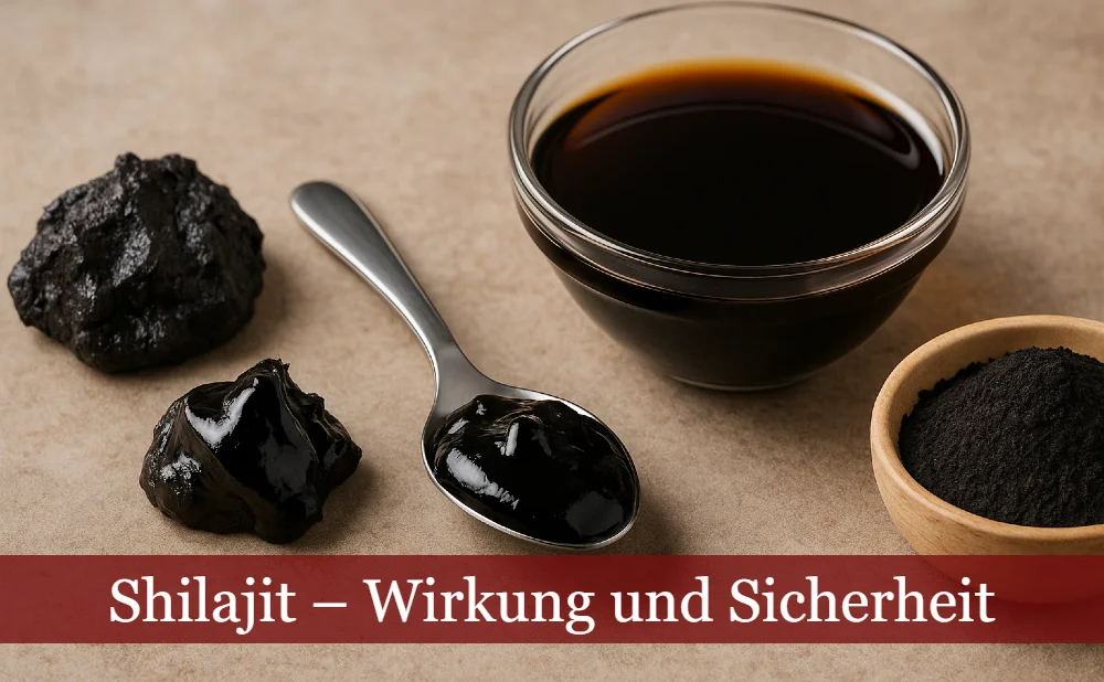 Shilajit Wirkung und Sicherheit